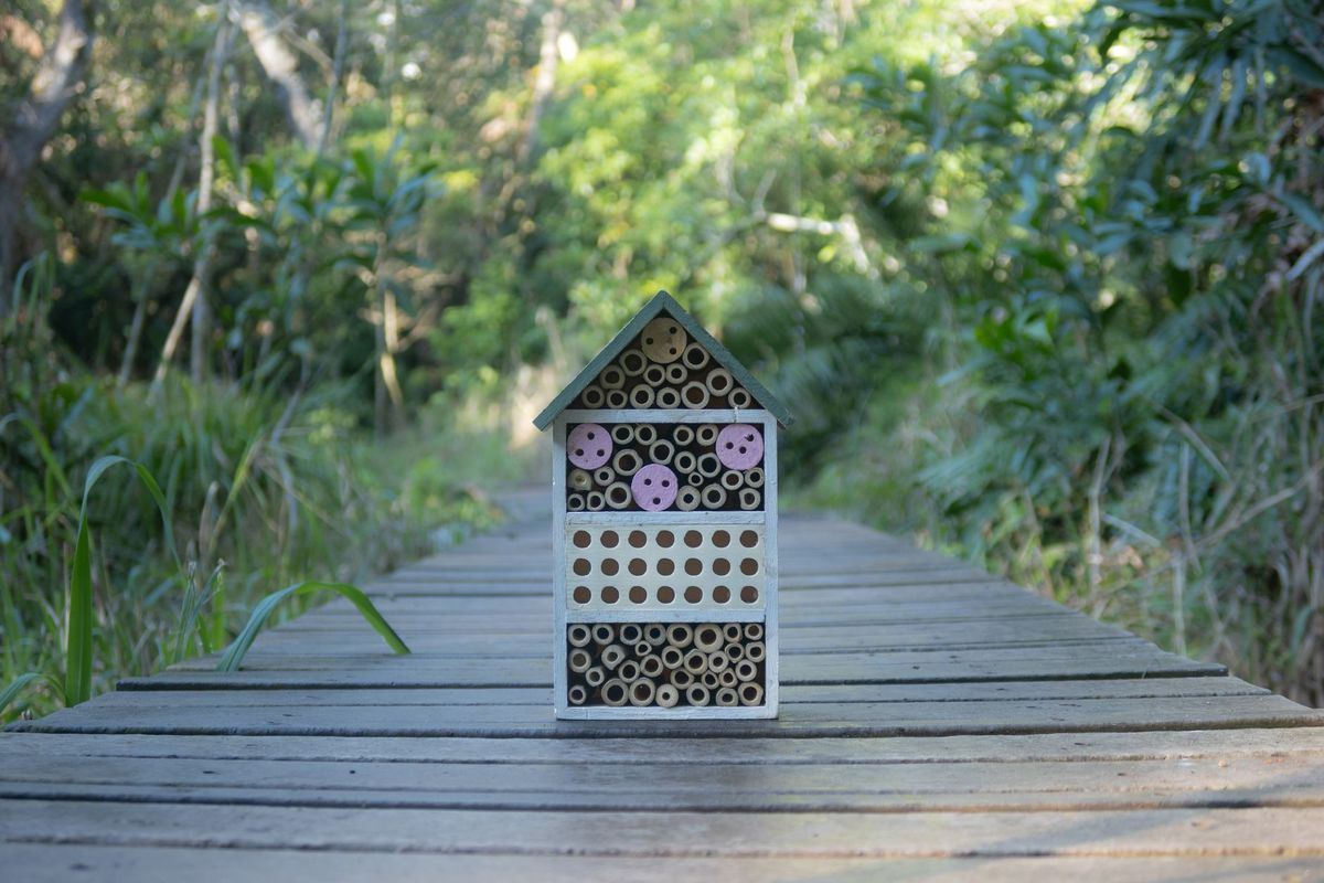 Bee hotel vs bee brick: which UK solitary bee nest is right for you?